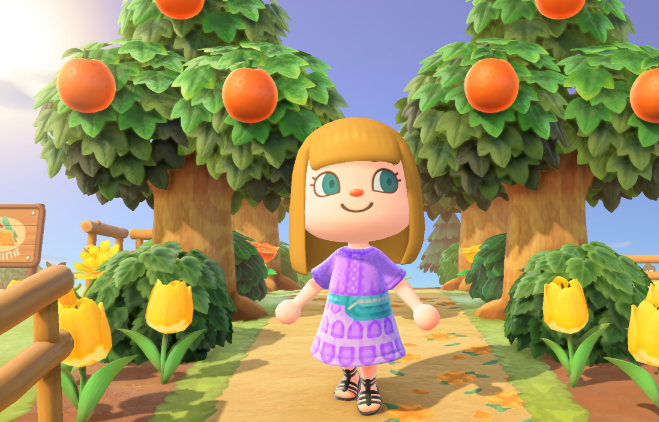 What Is Animal Crossing And How Does It?